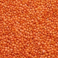 Picture15 1 R9phla4vf1yzefg0fgoi78uahc6c79wk96qu6wwxjk