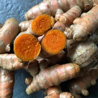 turmeric (curcuma longa)