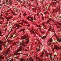 byadgi red dry chilli