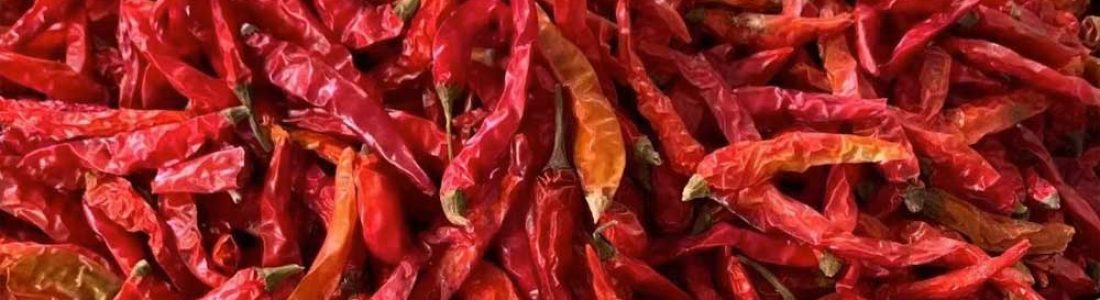 chili pepper