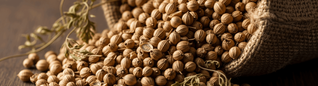 Coriander1 Scaled R9t9fl4v3pevh2pfiy1pd1wpeesgjx6ss7ku943lbs