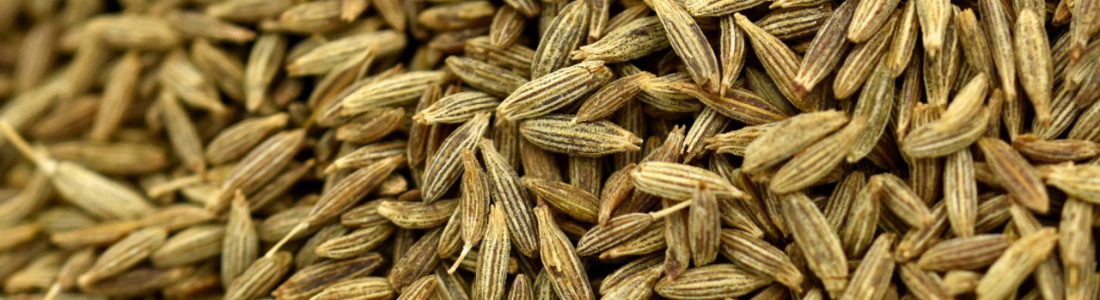 Cummin R9pjl6sp7he0dtp5l5zwpyiwps28sehcbcpwzwdxh4