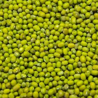 Mungbean 1 R9phbo89k0tgpxegjb5spo4nvjj9inrc9mo5l35t5c