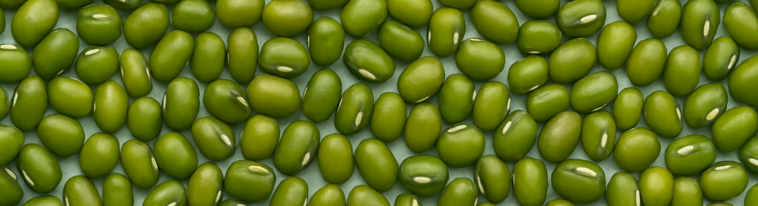 mungbean