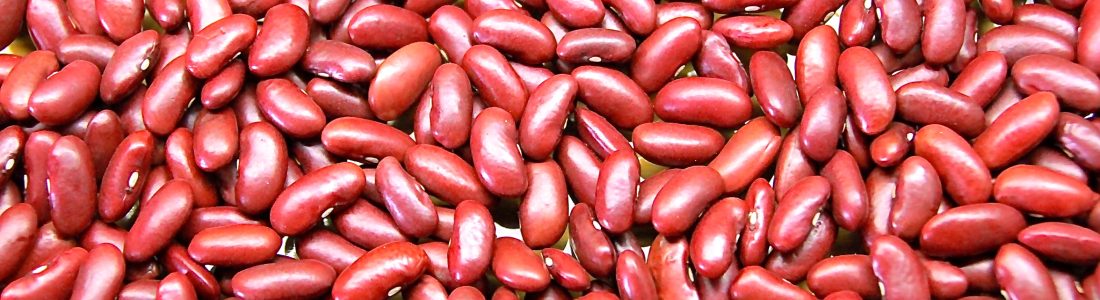 redbean