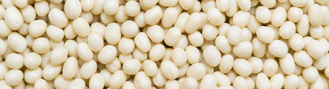 uradbean